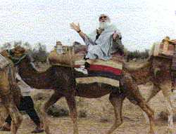 Francis on a Camel in Tunisia