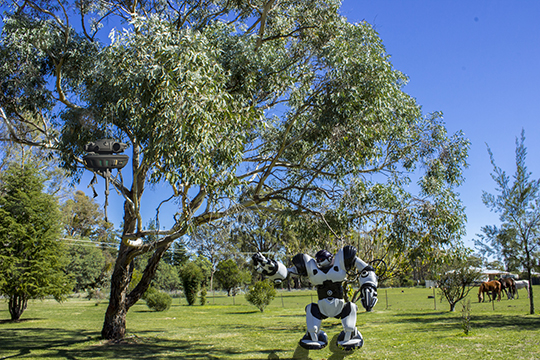 Dalek probe droid terrorises Robosapien!