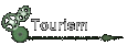 Tourism