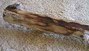 Agave Didgeridoo hand made by Rob Day $75
