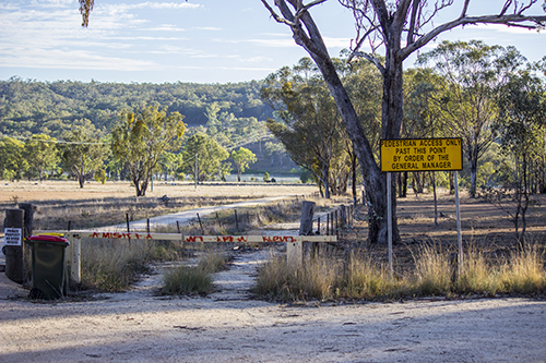 access track to the observation hide - Lake Inverell