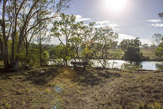 Platypus Lookout - Lake Inverell