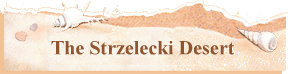 The Strzelecki Desert