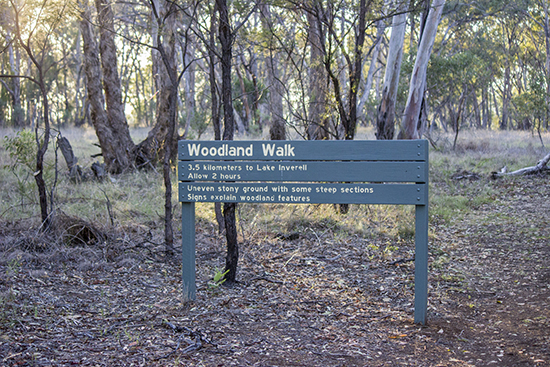 Woodland Walk - Barayamal National Park - Inverell