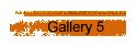 Gallery 5