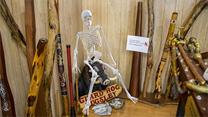 Bones McCoy at his security station